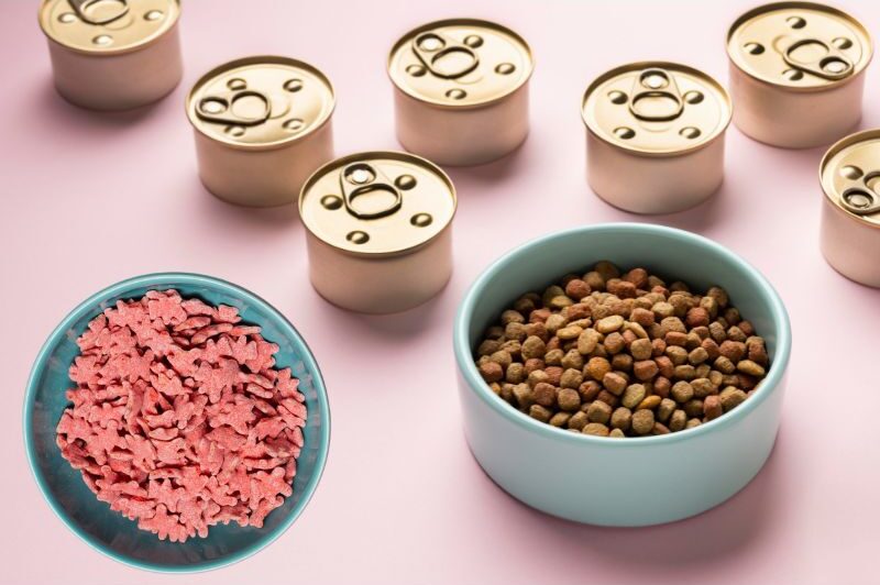 Dry Food ‘Kibble’ vs. Wet Food vs. Home-made Food